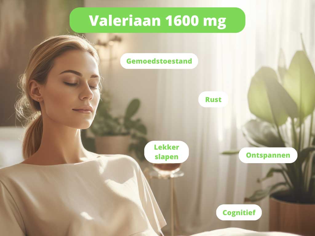uitstraling van kalmerend effect door ondersteuning van cognitie, gemoedstoestand, rust, ontspannen, lekker slapen.